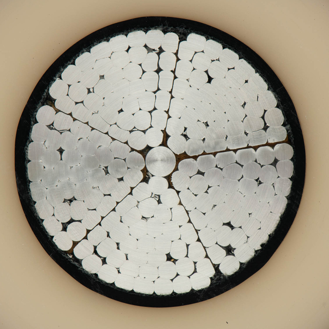 Xlpe Изолированный алюминиевый проводник с медными проводами для водонепроницаемого подземного кабеля питания